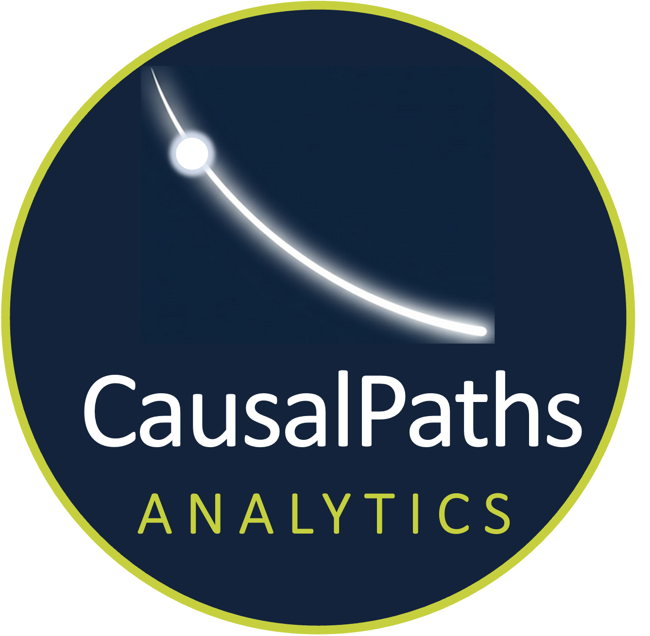 CausalPaths Analytics Logo