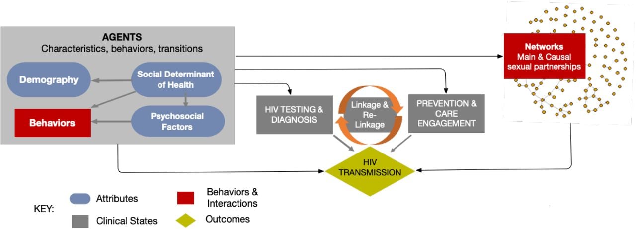 DDUADS workflow diagram for HIV intervention scenario analysis