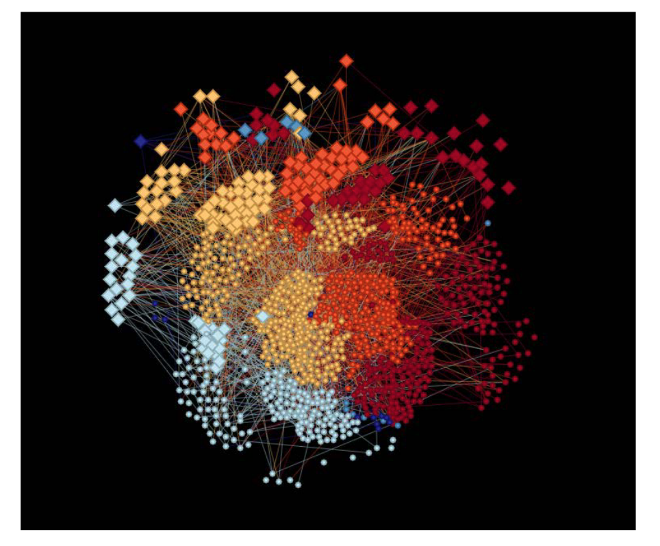 Self-employed social network